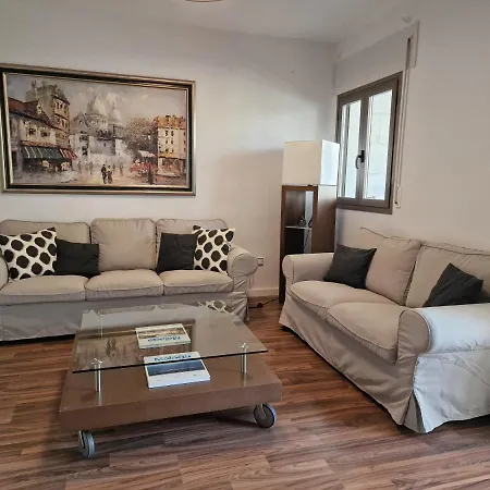 Gran Piso En Zona Comercial Málaga
